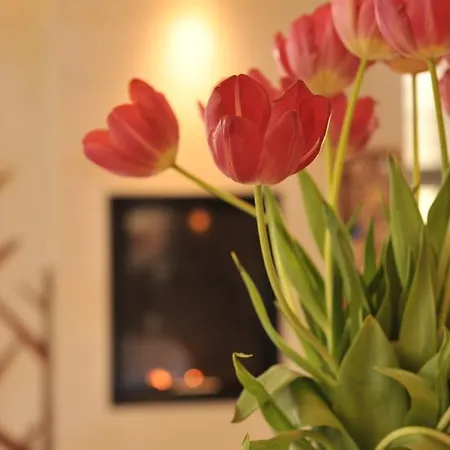 Restaurant A L'aigle ホテル Wimmenau